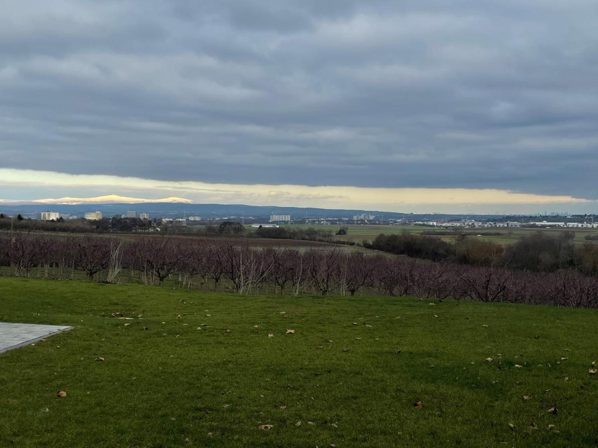 Weingut Bugner Meizelhof Klein-Winternheim Eksteriør billede